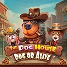 The Dog House – Dog or Alive screenshot